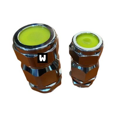 Explosion Proof Cable Gland-WQ-BDM