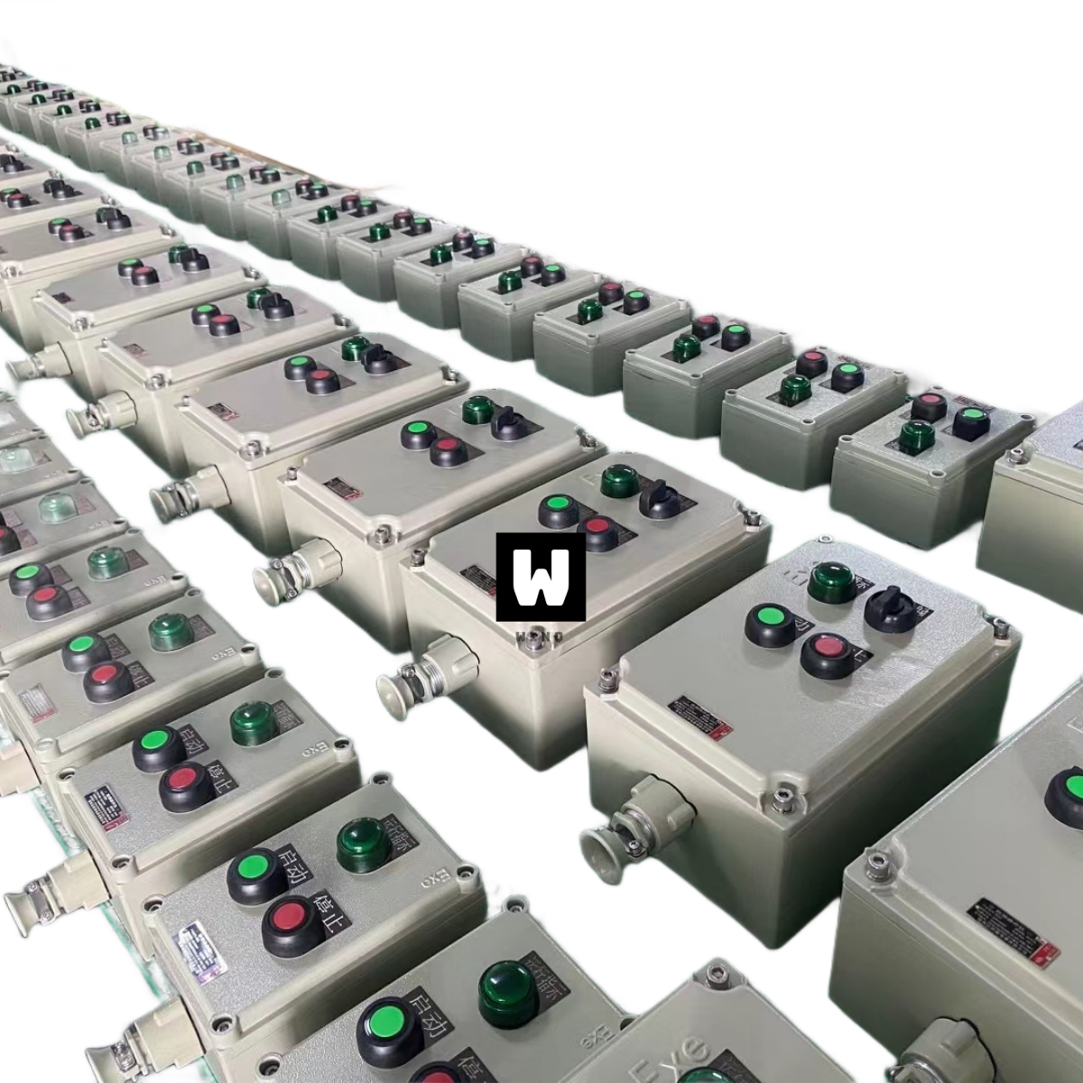 Explosion Proof Control Panel-WQ-BXM