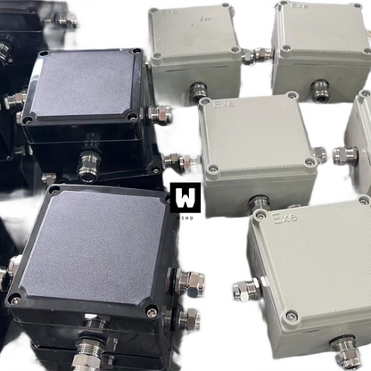 Explosion Proof Control Panel-WQ-BXM