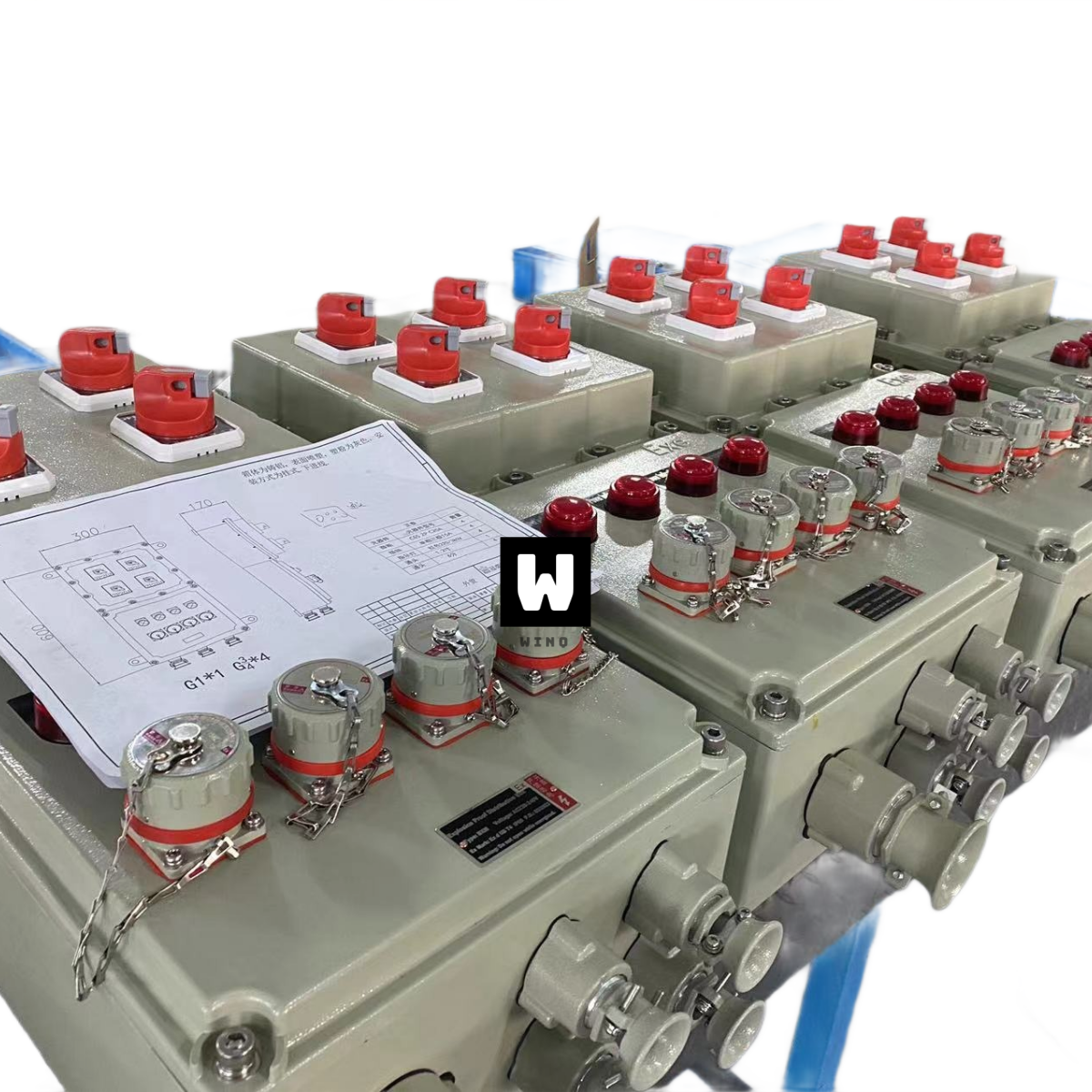 Explosion Proof Control Panel-WQ-BXM